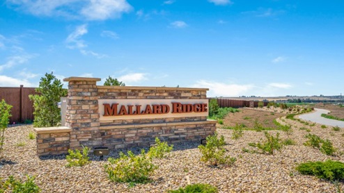 New homes in Johnstown, Colorado at Mallard Ridge by D.R. Horton