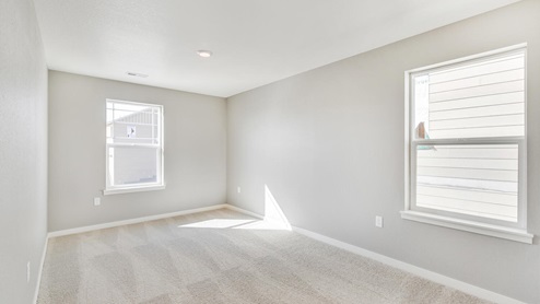 bedroom with two windows and carpet floor