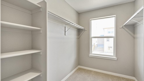 walk in closet with shelves, a window and carpet floor
