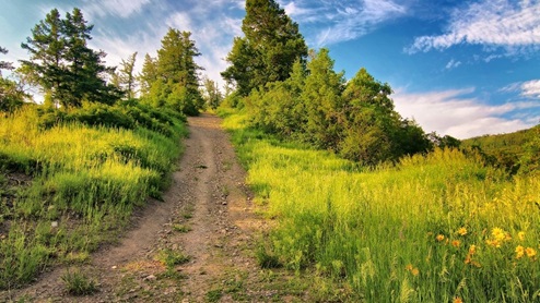 Colorado Hiking Trail