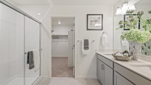 staged gray cabinet bathroom with a shower