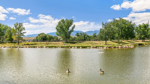 New Homes in Fountain, Colorado at Aspen Ranch by D.R. Horton