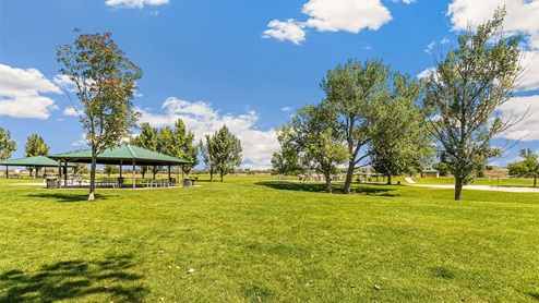New Homes in Fountain, Colorado at Aspen Ranch by D.R. Horton