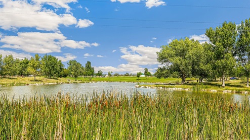 New Homes in Fountain, Colorado at Aspen Ranch by D.R. Horton