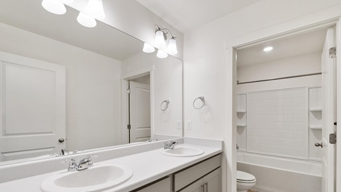 gray cabinet bathroom with closet