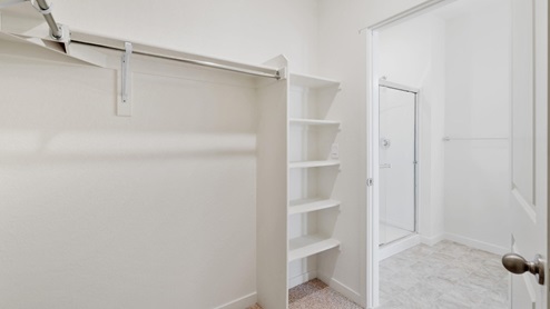 Newcastle Primary Bedroom Walk In Closet at Crystal Valley by D.R. Horton