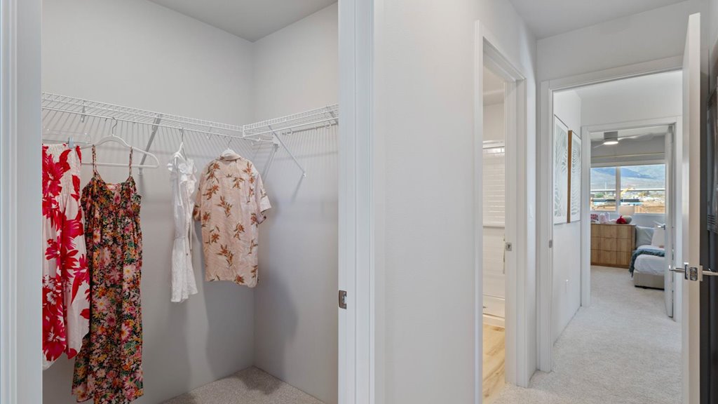 Interior bedroom with walk in closet