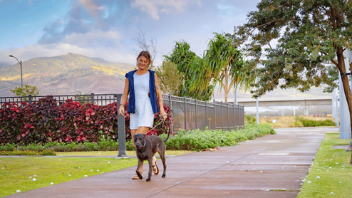 Woman walking dog on side street with rainbow