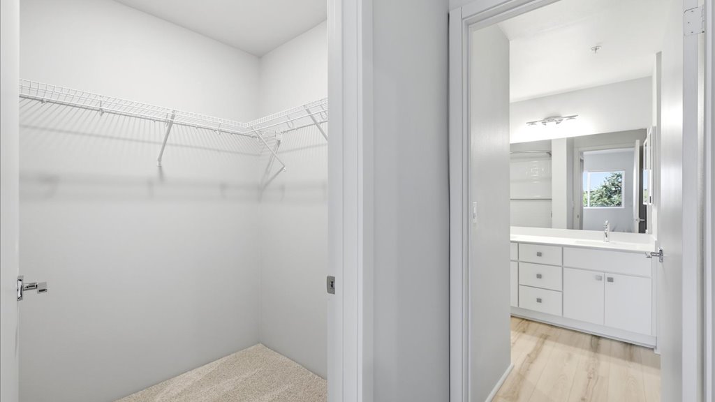 Interior walk in closet open to bathroom