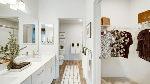 Interior bathroom with large counter and double vanity sink with full size shower and walk in closet