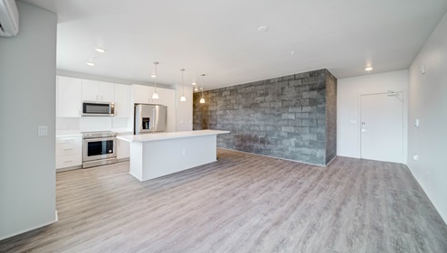 Interior kitchen island open to the living room