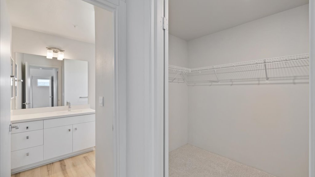 Interior walk in closet with shelves