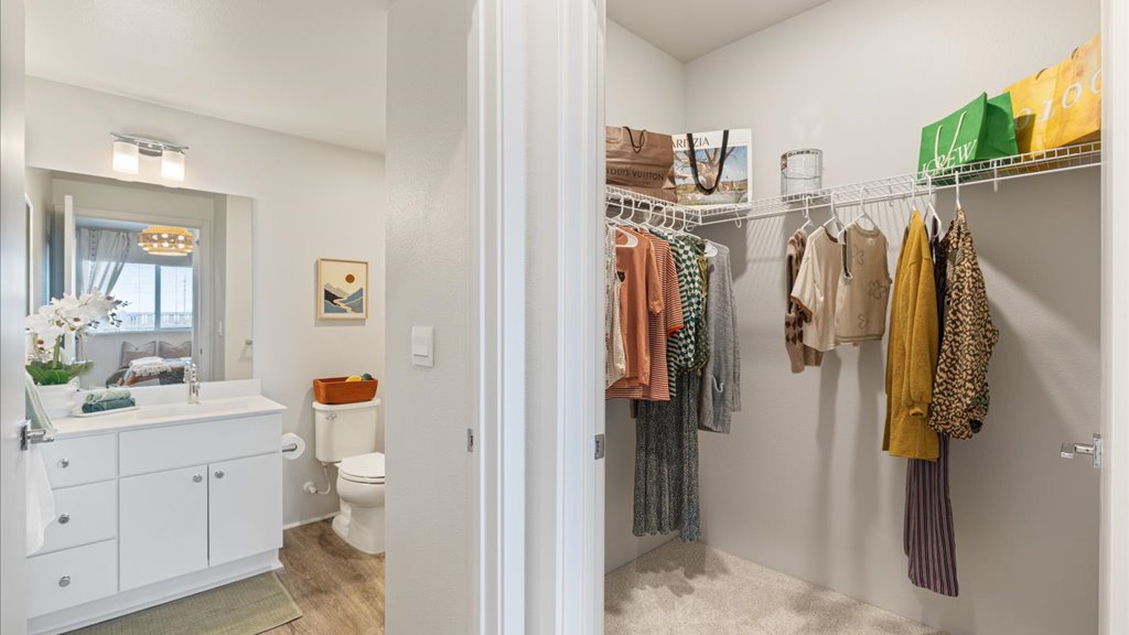 Interior bedroom with walk in closet