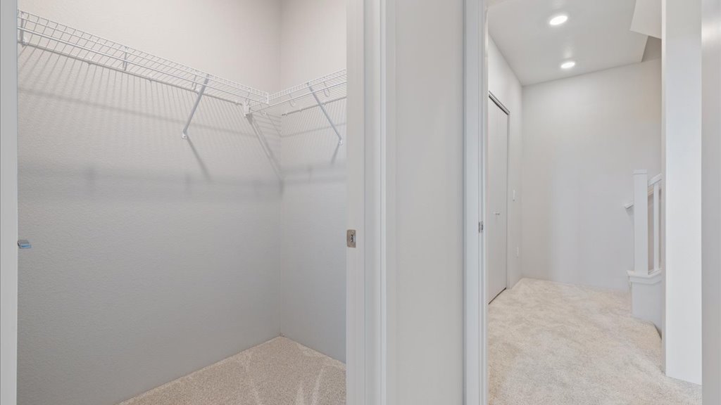 Interior walk in closet with shelves
