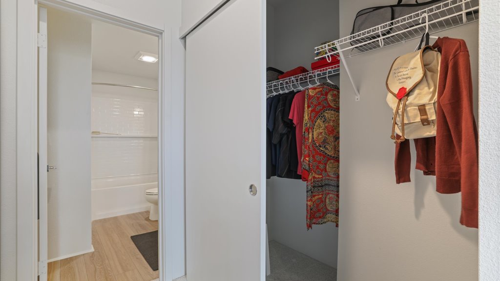 Interior walk-in closet