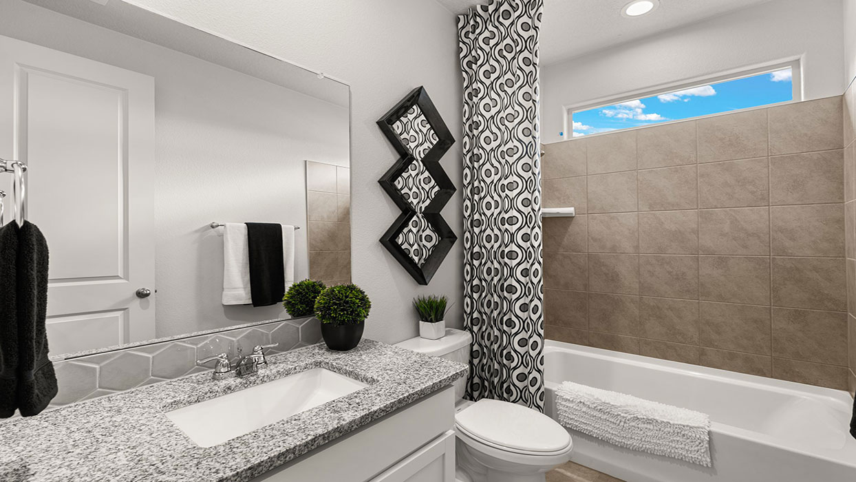 hall bathroom