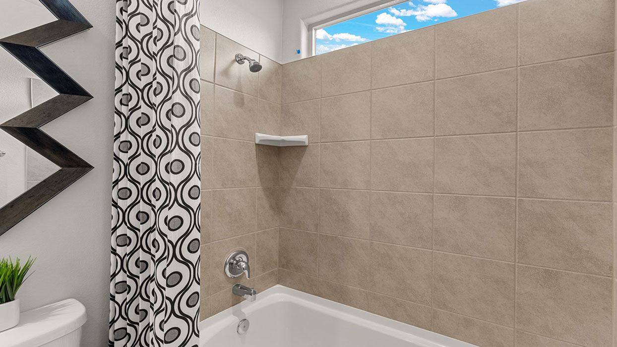 hall bathroom