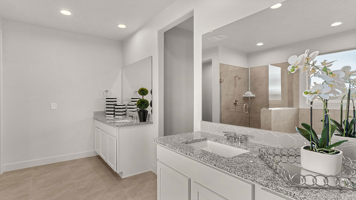 primary bathroom