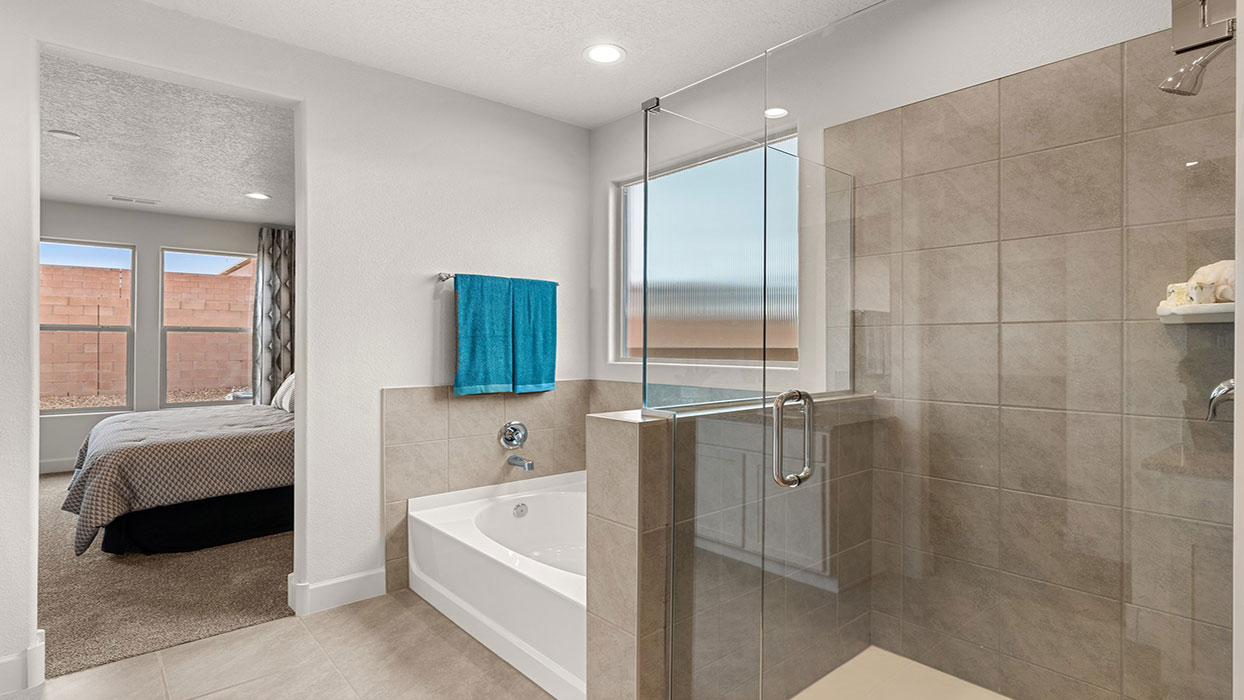 primary bathroom