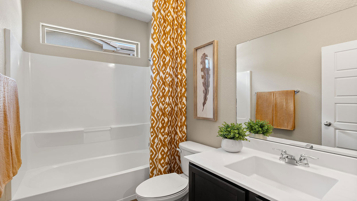 hall bathroom