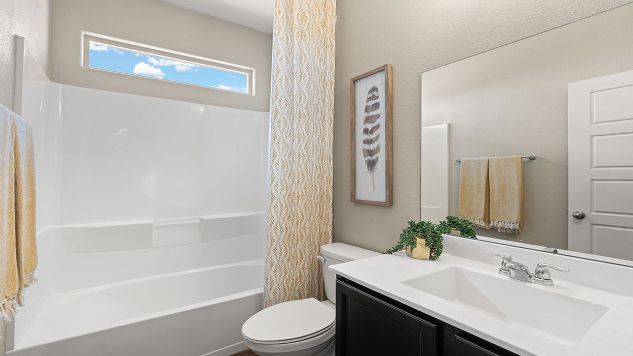 hall bathroom