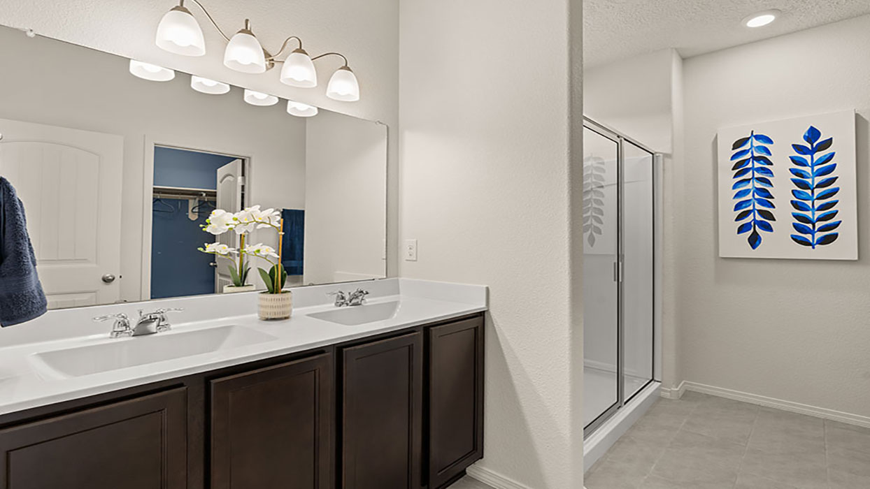 primary bathroom