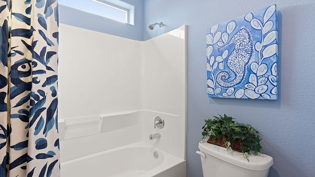 hall bathroom
