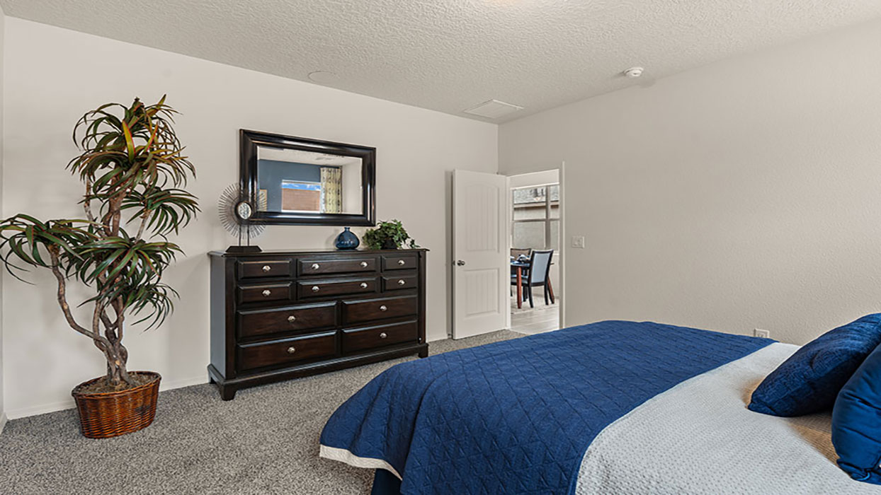 primary bedroom