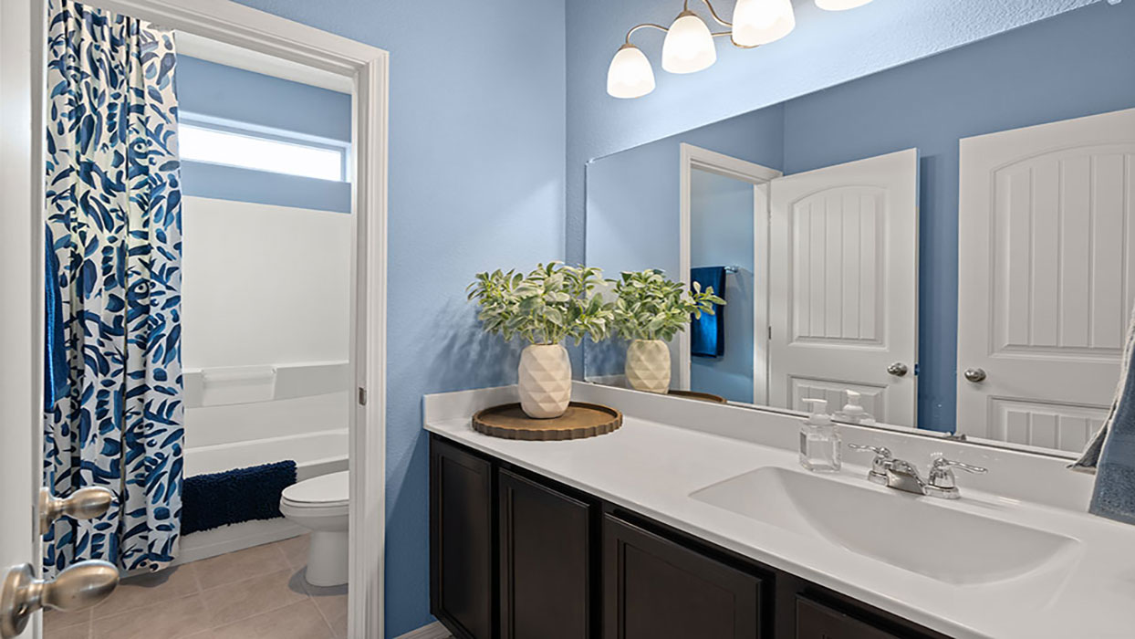 hall bathroom