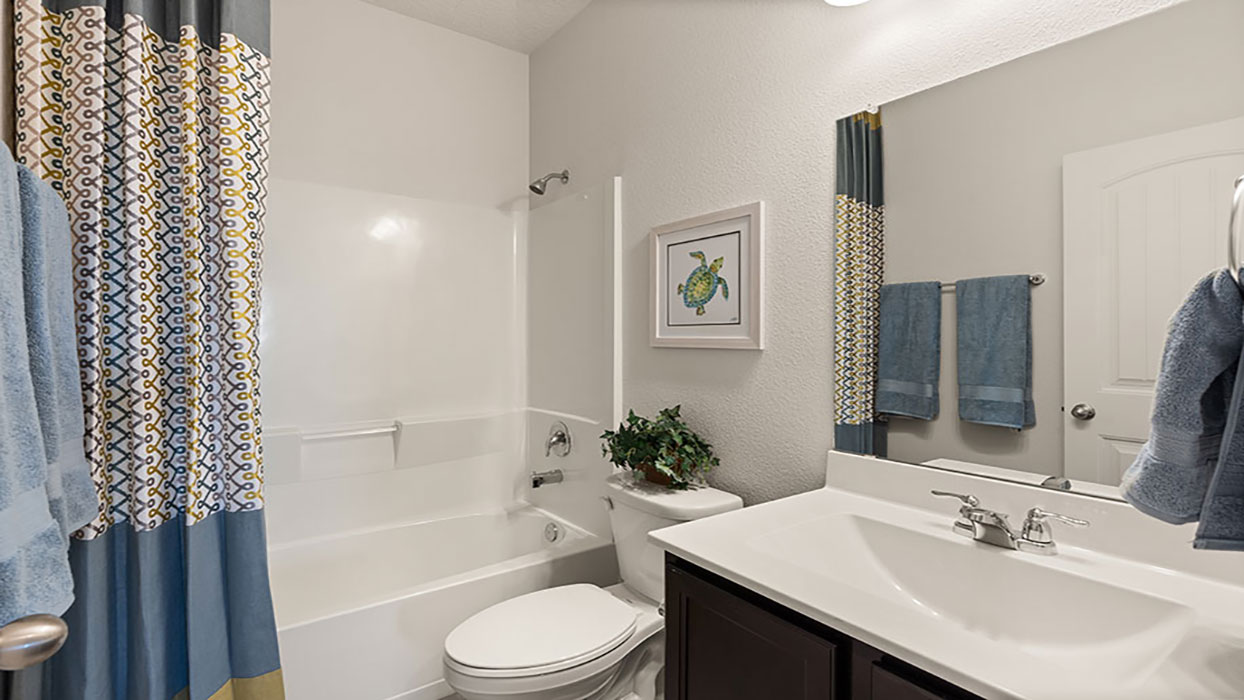 hall bathroom