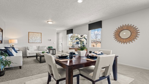 Dining & family room