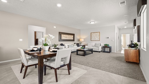Dining & family room