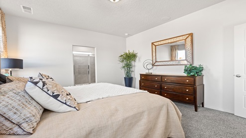 Primary suite