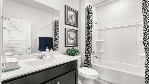 Hall bathroom
