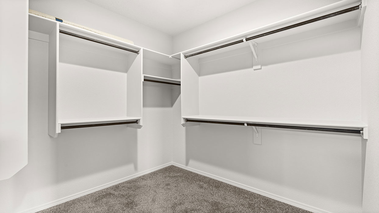 Primary walk-in closet with shelves and carpet floors