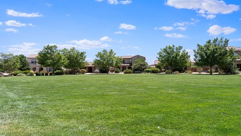 Mesa del Sol - Park