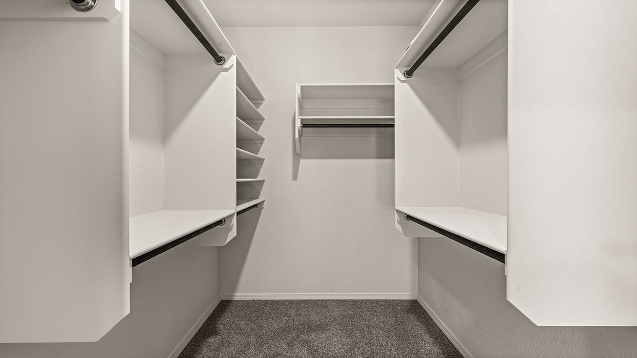 Sage - Closet