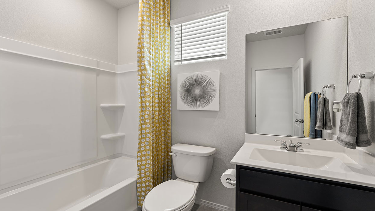 hall bathroom