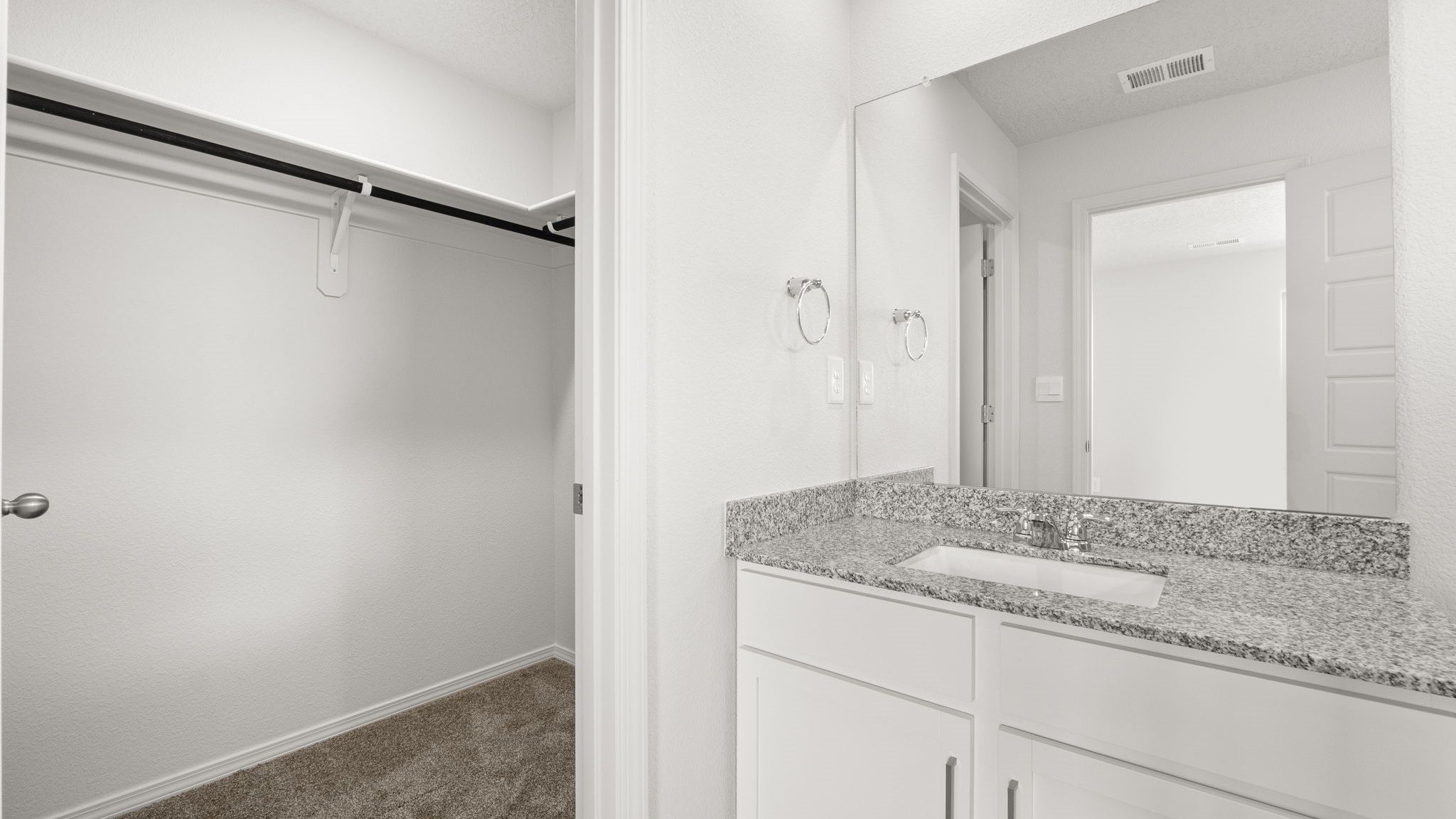 Bathroom with sink and a walk in closet.
