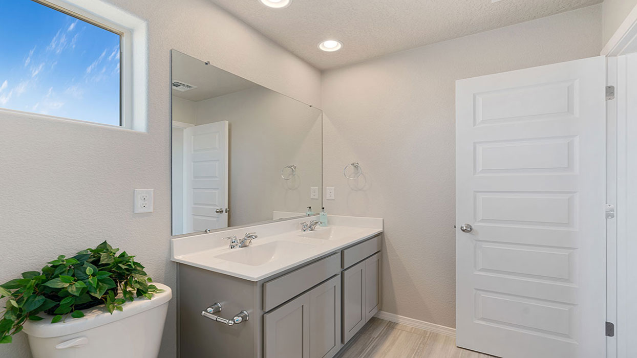 Interior bathroom with double sink