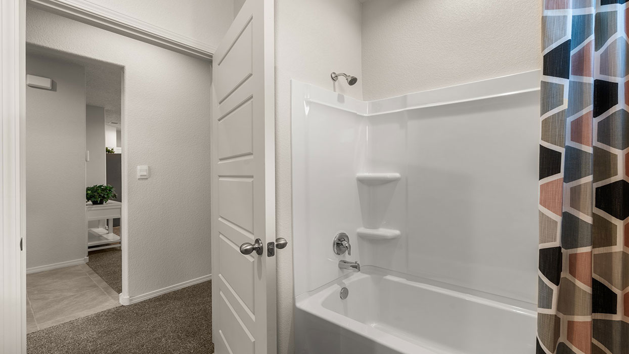hall bathroom
