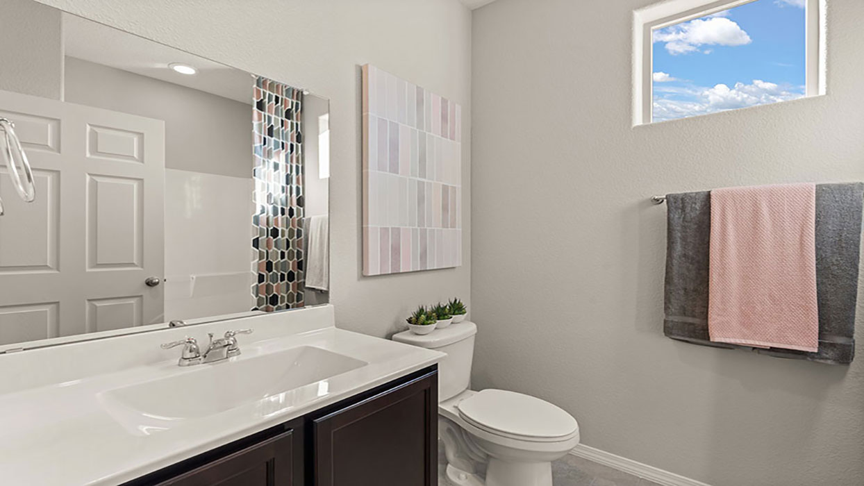 hall bathroom