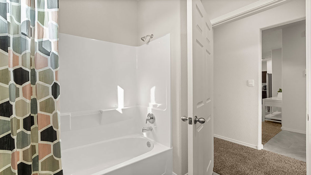 hall bathroom
