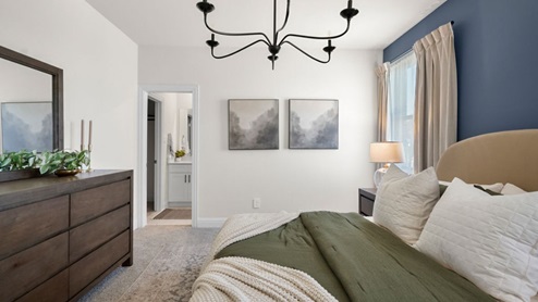 Interior primary bedroom with accent wall and windows