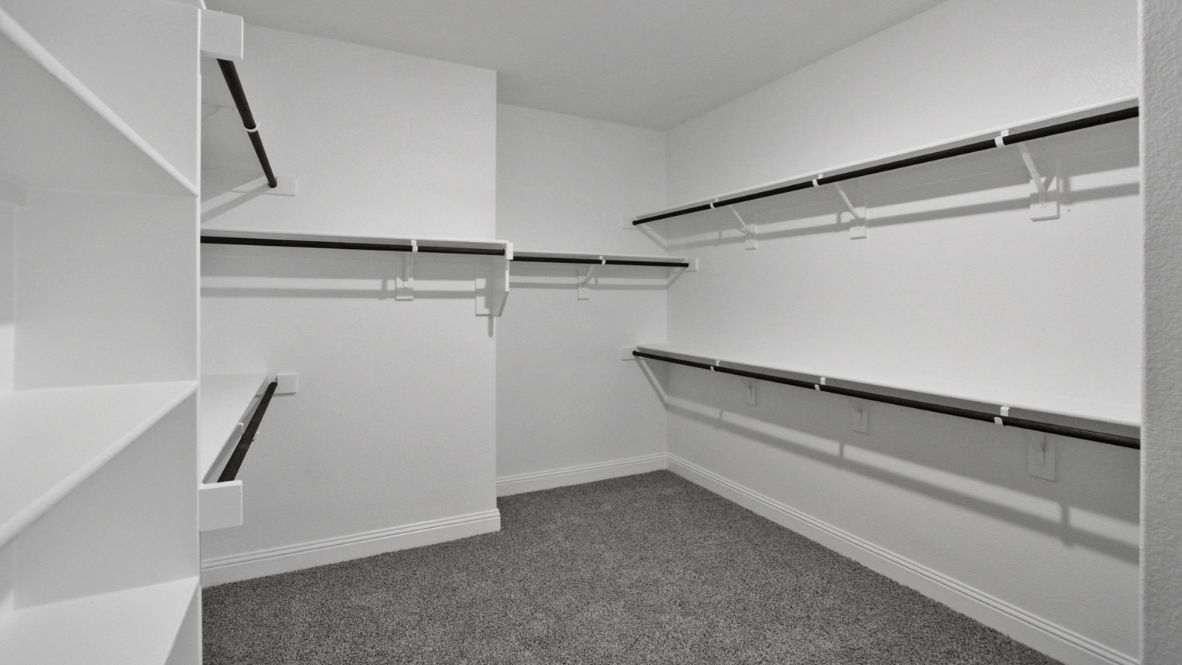 Primary bedroom with ceiling fan, plush carpeting, and a large walk-in closet.