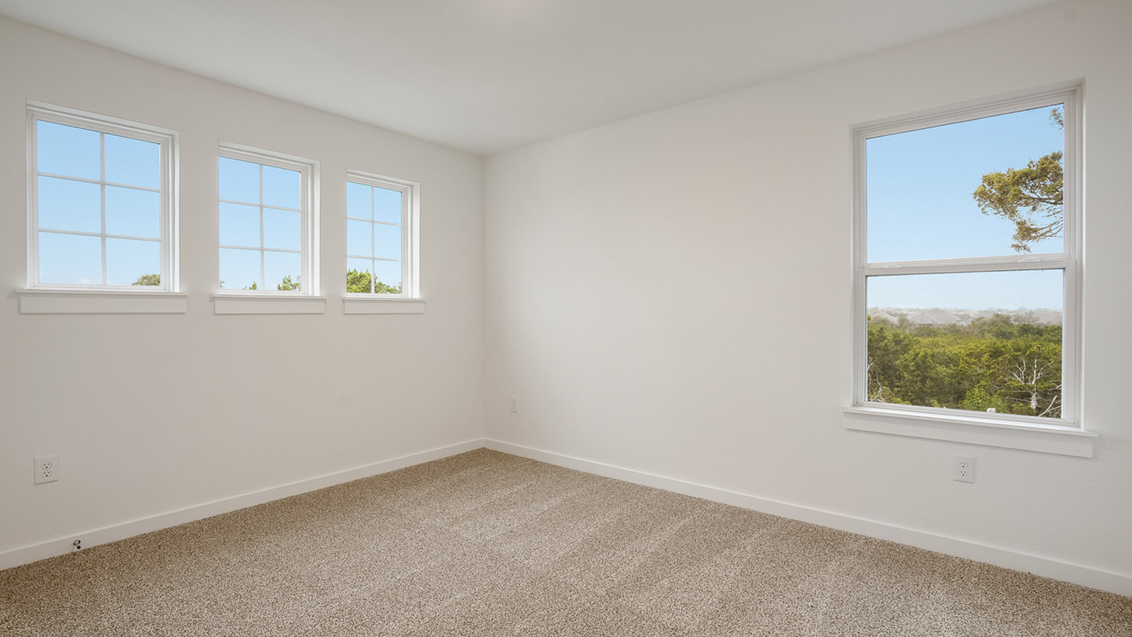 secondary bedroom with natural light snd plush carpet