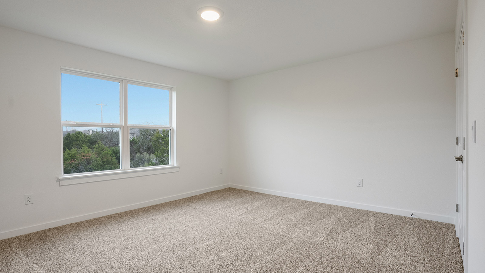 bedroom with plush carpet and natural light