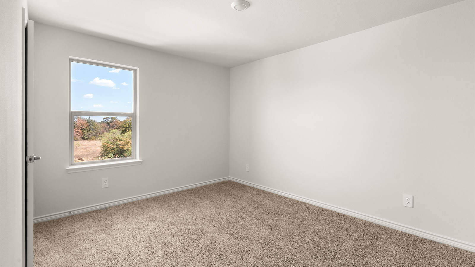 Primary bedroom with ceiling fan, plush carpeting, and a large walk-in closet.
