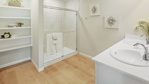 Interior bathroom with walk in shower and built in shelving