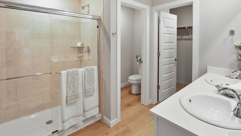 Interior bathroom with walk in shower and double sink